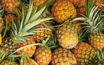 Ananas Geschmack Ananas Geschmack