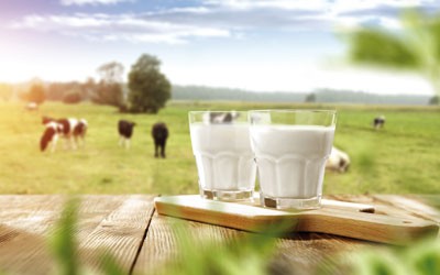 Milch Geschmack