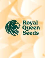 Royal Queen Seeds