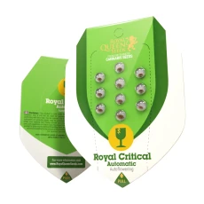 Royal Seed Royal Critical Automatic - 3 Samen