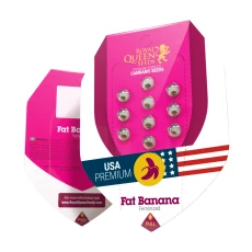 Royal Seed Fat Banana USA Premium Feminized - 3 Samen