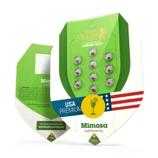 Royal Seed Mimosa USA Premium Automatic - 3 Samen