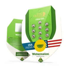 Royal Seed Watermelon USA Premium Automatic - 3 Samen